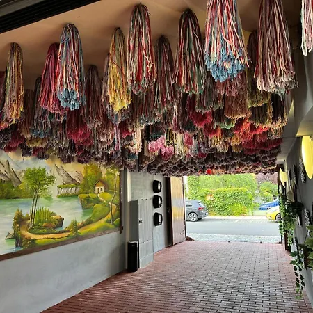 호텔 Goldenes Schiff 그림마